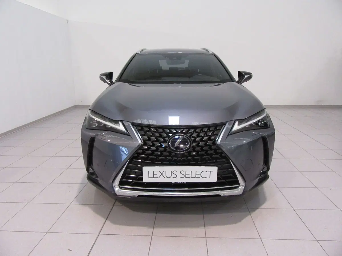 Lexus UX usata a Firenze (4)