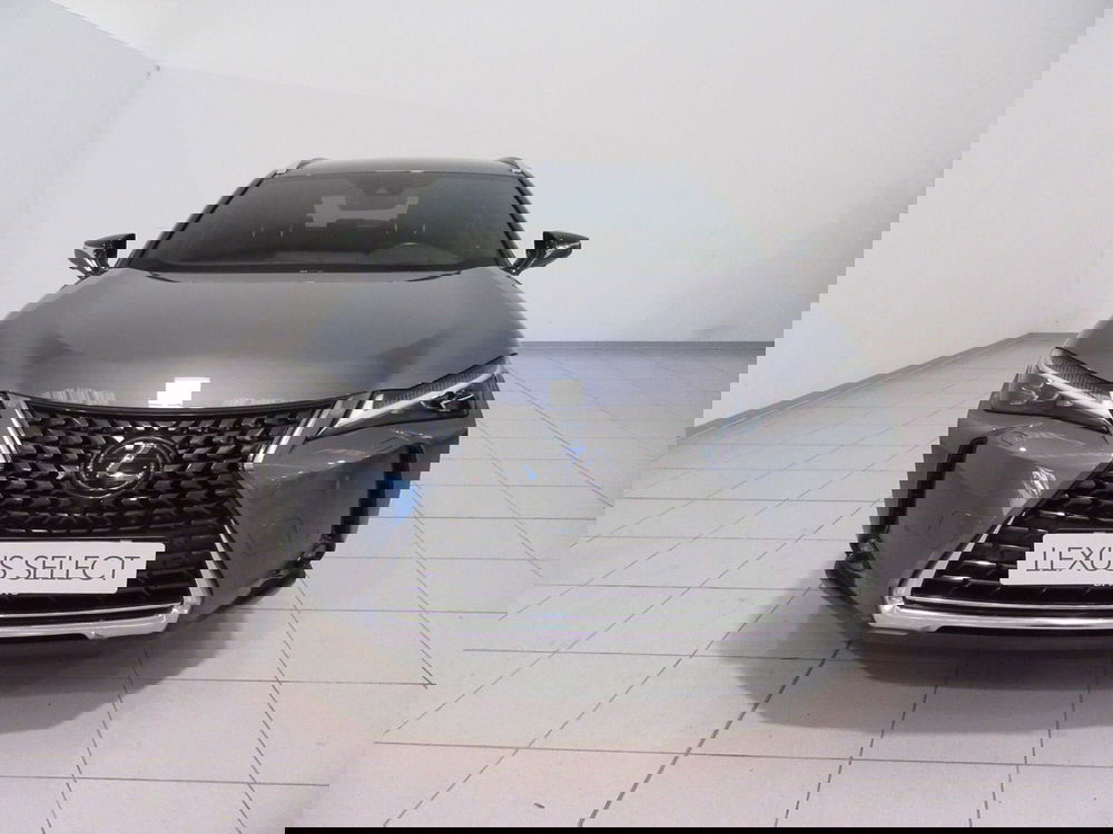 Lexus UX usata a Firenze (4)