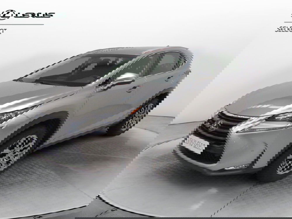 Lexus NX usata a Firenze