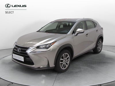 Lexus NX Hybrid 4WD Executive del 2017 usata a Sesto Fiorentino