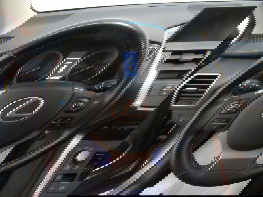 Lexus NX usata a Firenze (10)