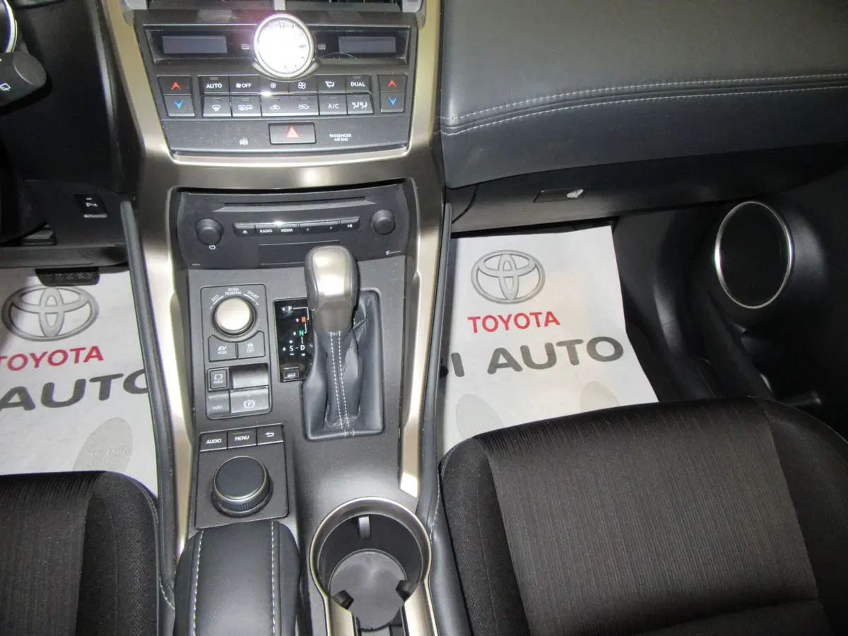 Lexus NX usata a Firenze (17)