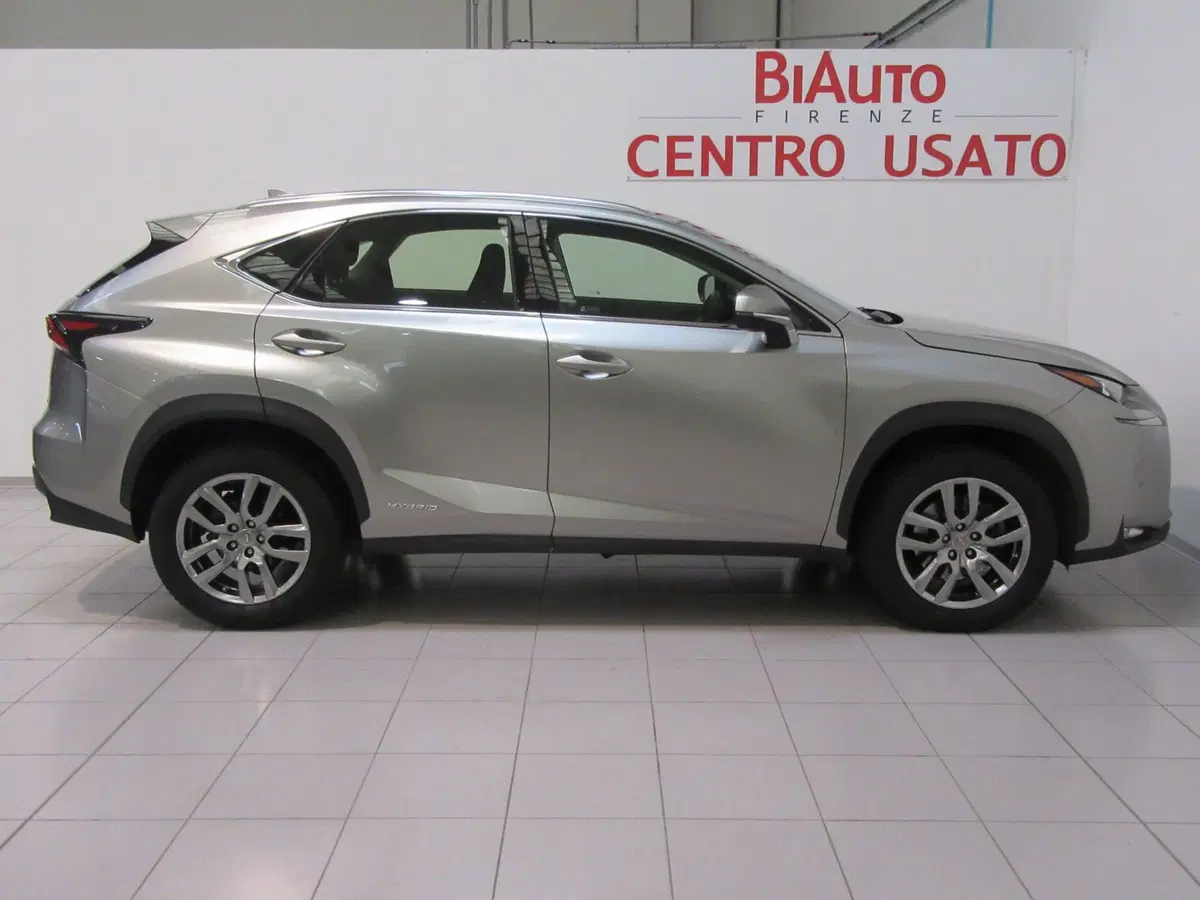 Lexus NX usata a Firenze (19)