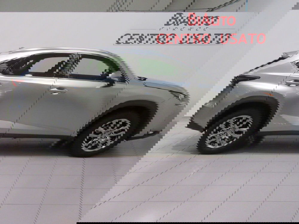 Lexus NX usata a Firenze (19)