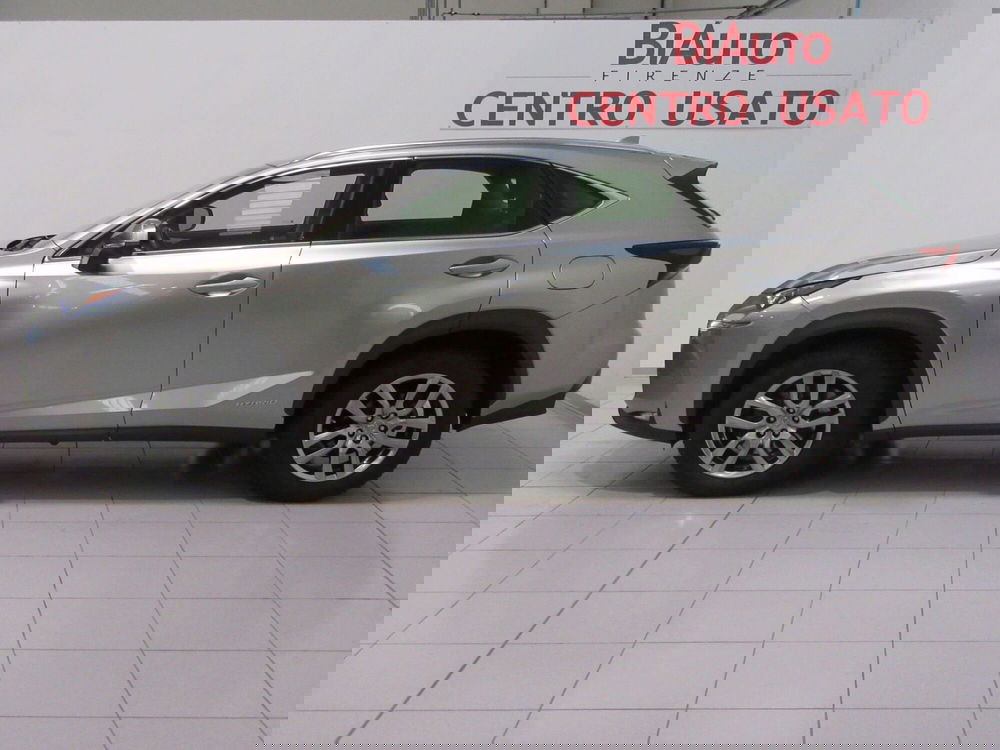 Lexus NX usata a Firenze (2)