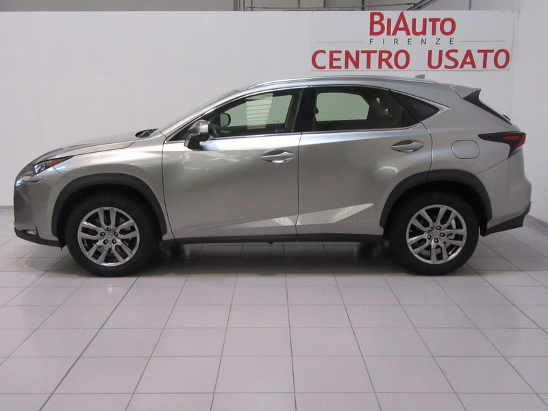 Lexus NX usata a Firenze (2)