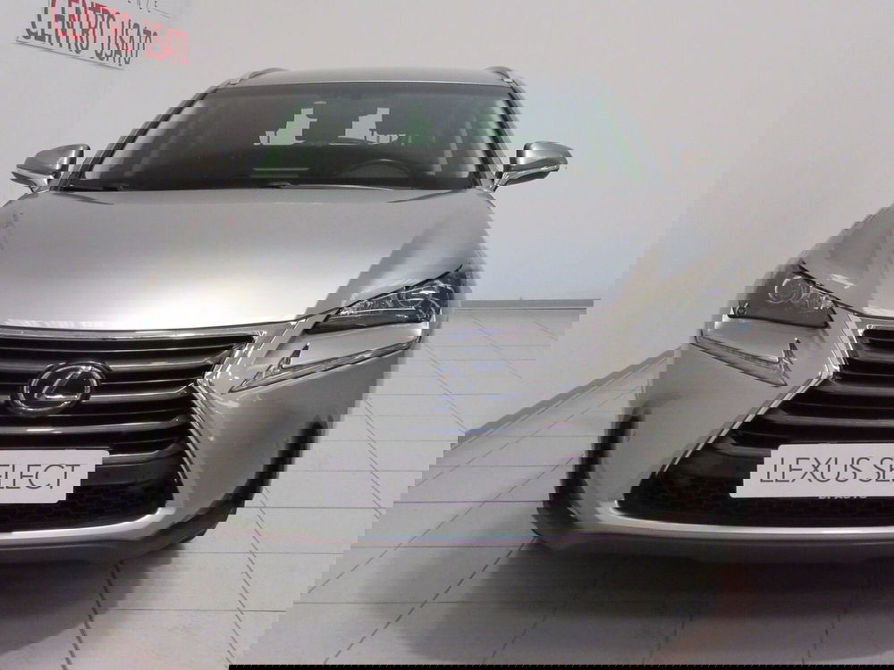 Lexus NX usata a Firenze (4)