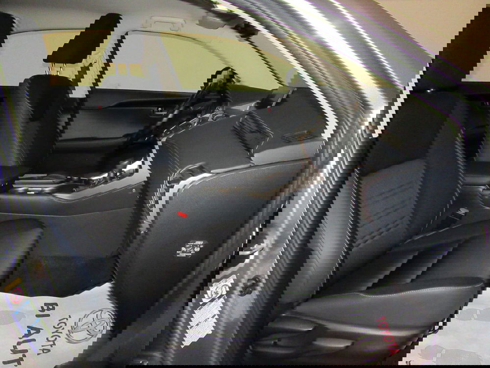 Lexus NX usata a Firenze (5)