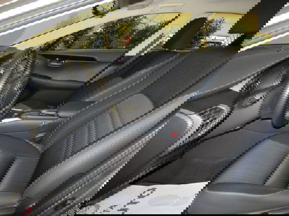 Lexus NX usata a Firenze (8)