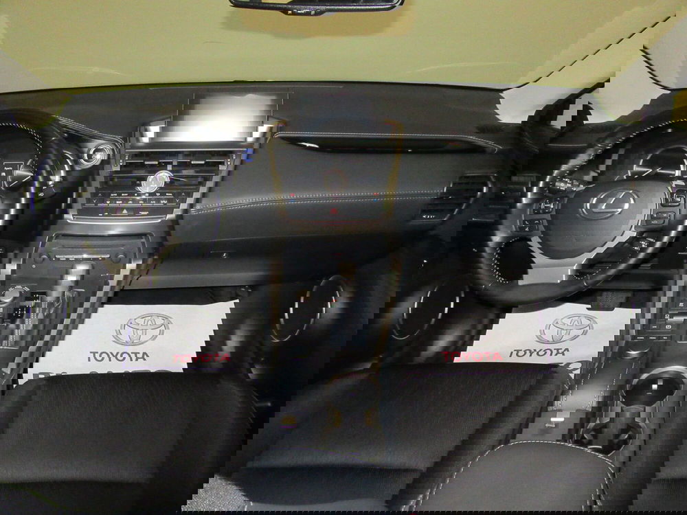 Lexus NX usata a Firenze (9)