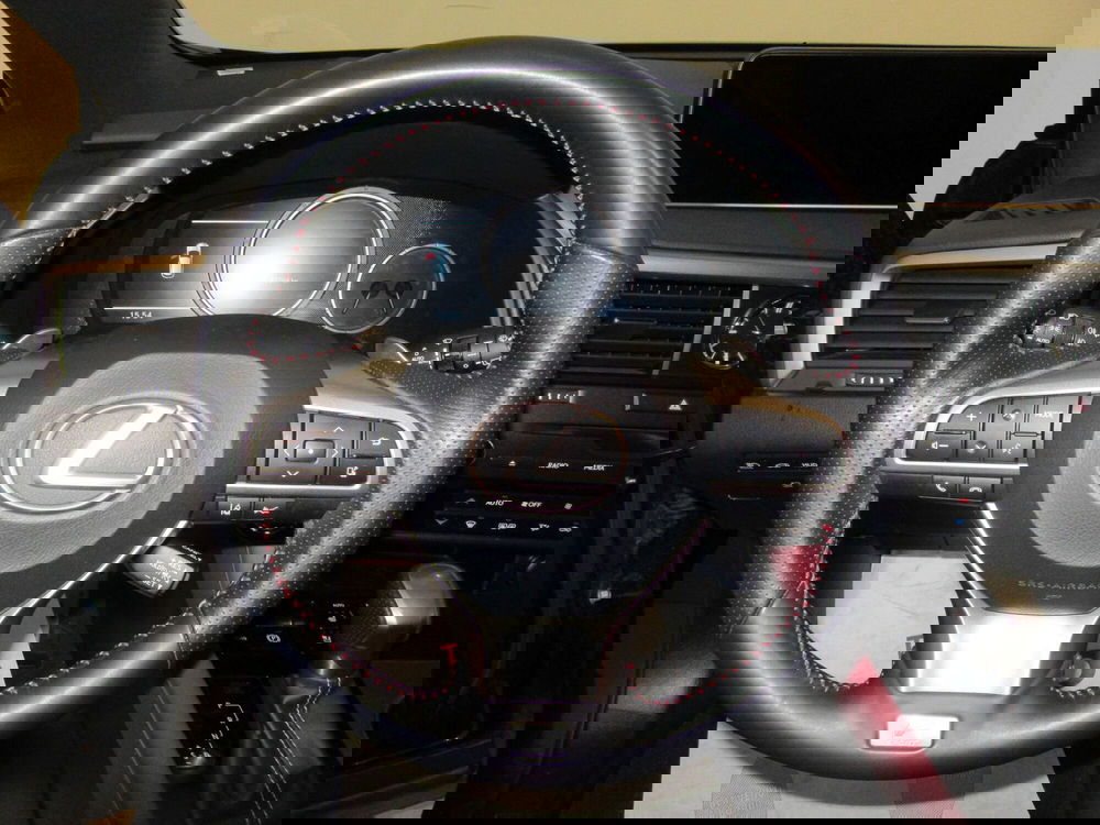 Lexus RX usata a Firenze (11)