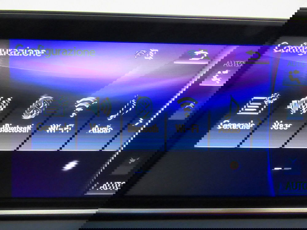 Lexus RX usata a Firenze (15)