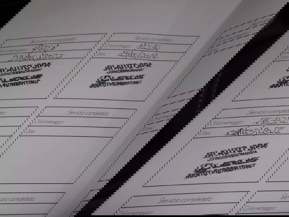 Lexus RX usata a Firenze (17)