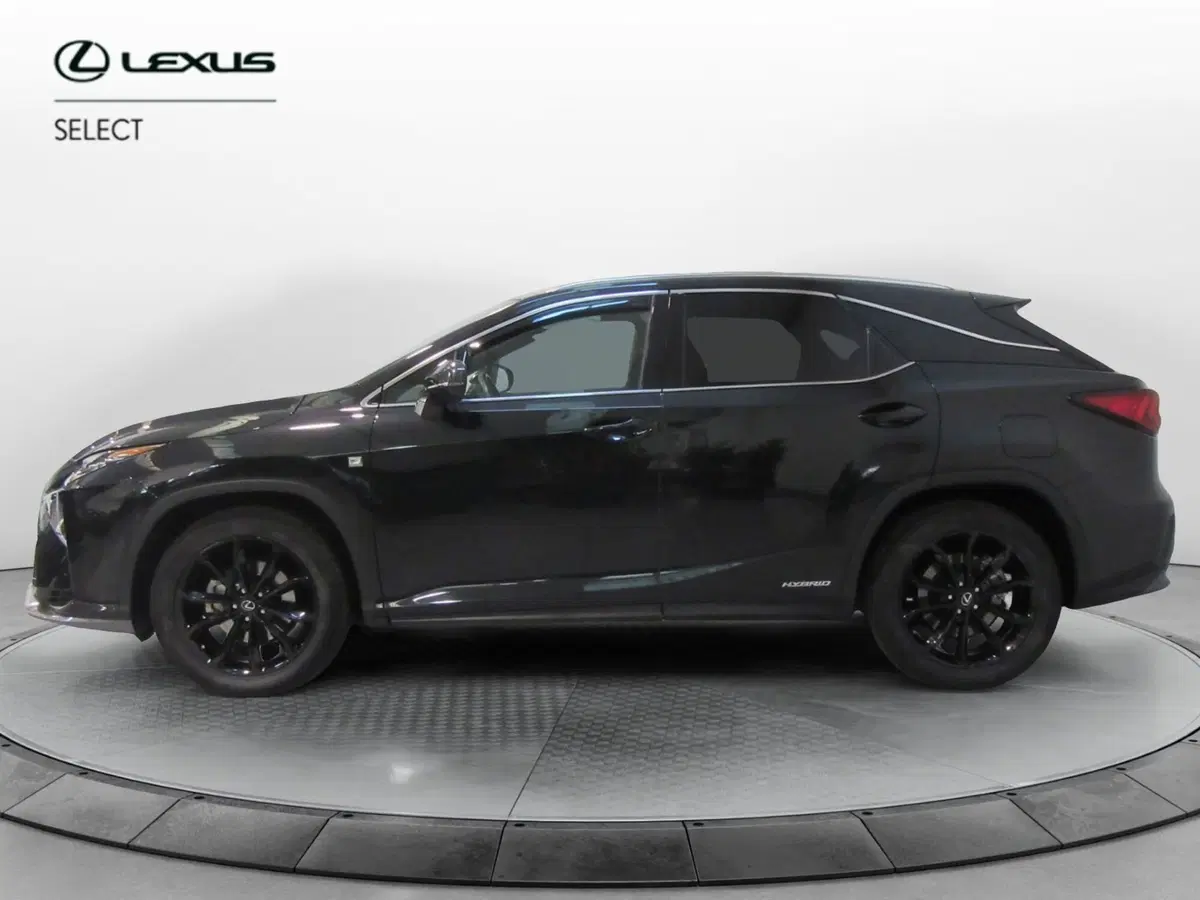 Lexus RX usata a Firenze (3)