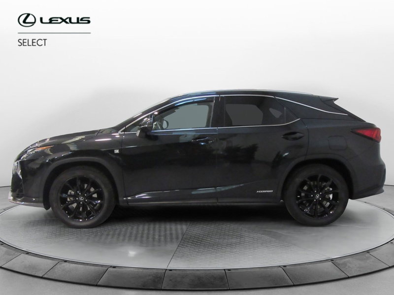 Lexus RX usata a Firenze (3)