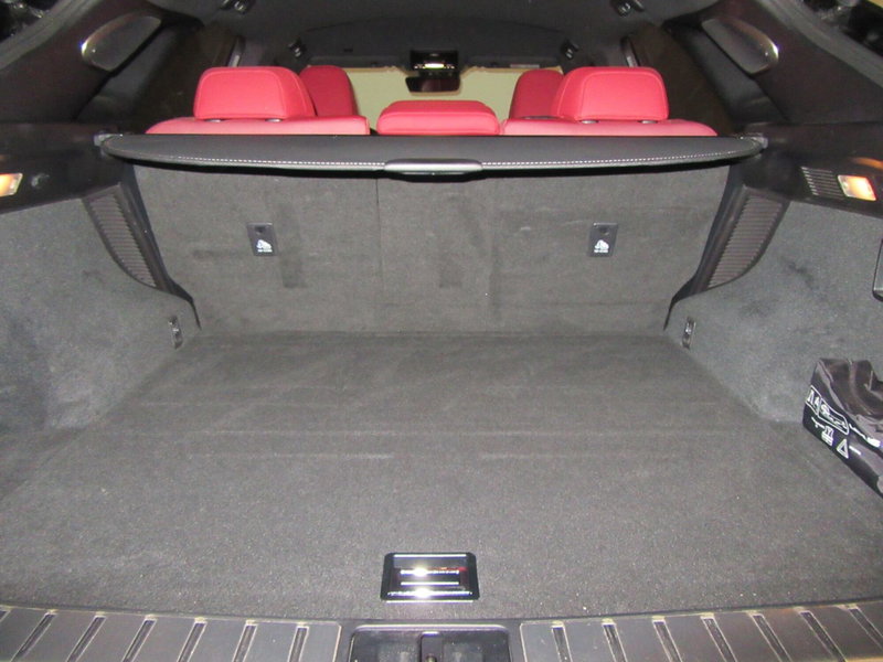 Lexus RX usata a Firenze (8)