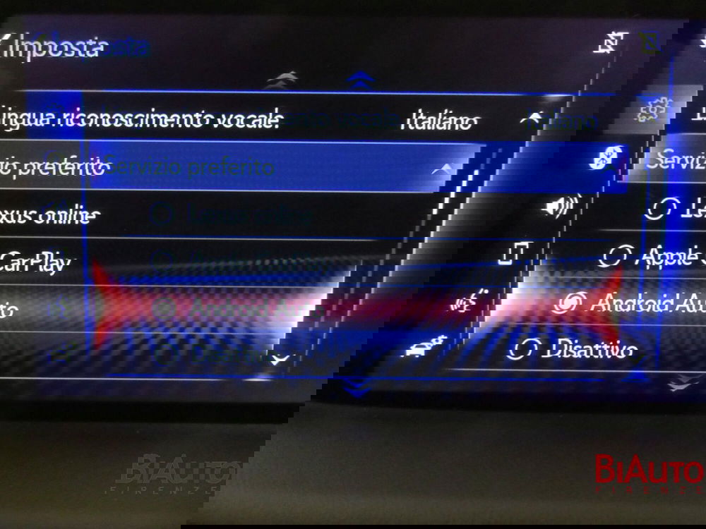 Lexus RX usata a Firenze (15)