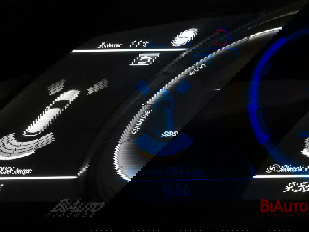 Lexus RX usata a Firenze (19)