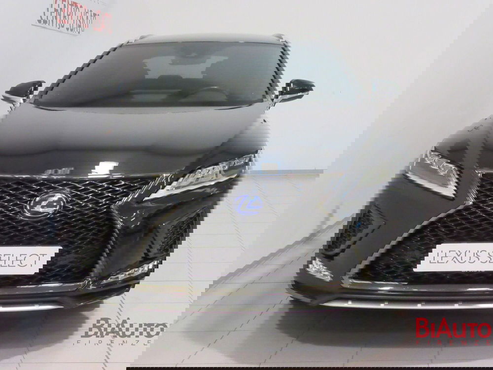 Lexus RX usata a Firenze (5)