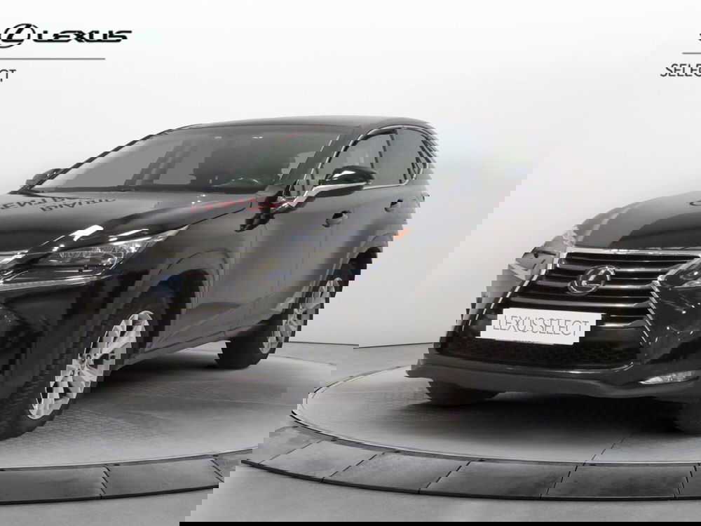 Lexus NX usata a Firenze