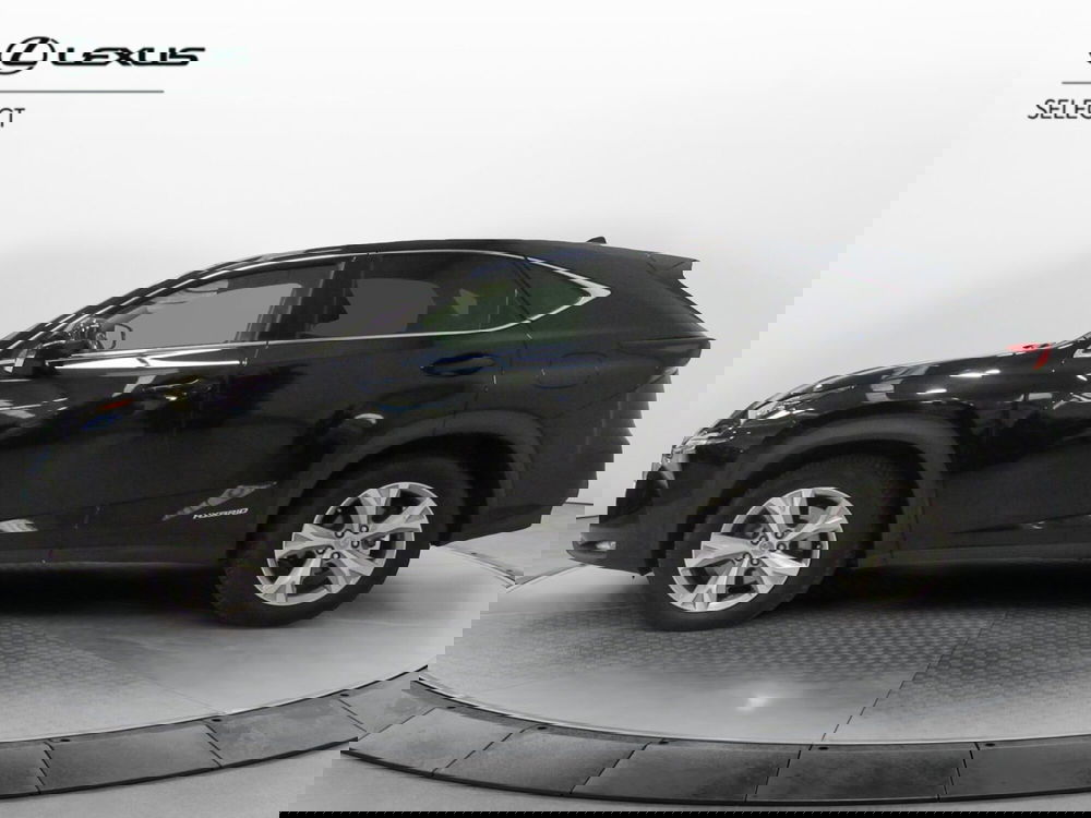 Lexus NX usata a Firenze (3)