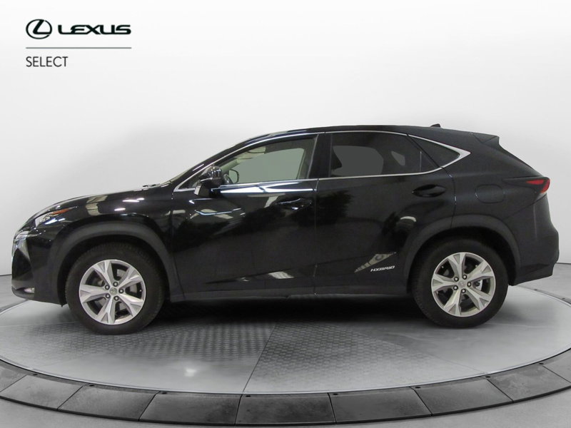 Lexus NX usata a Firenze (3)