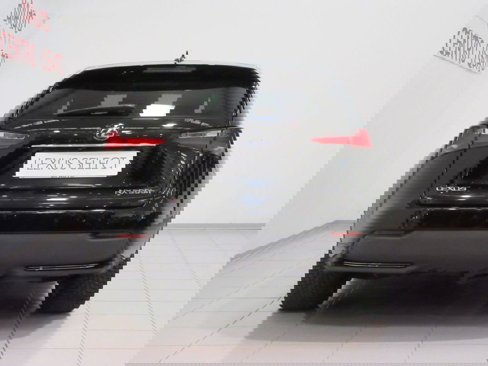 Lexus NX usata a Firenze (4)