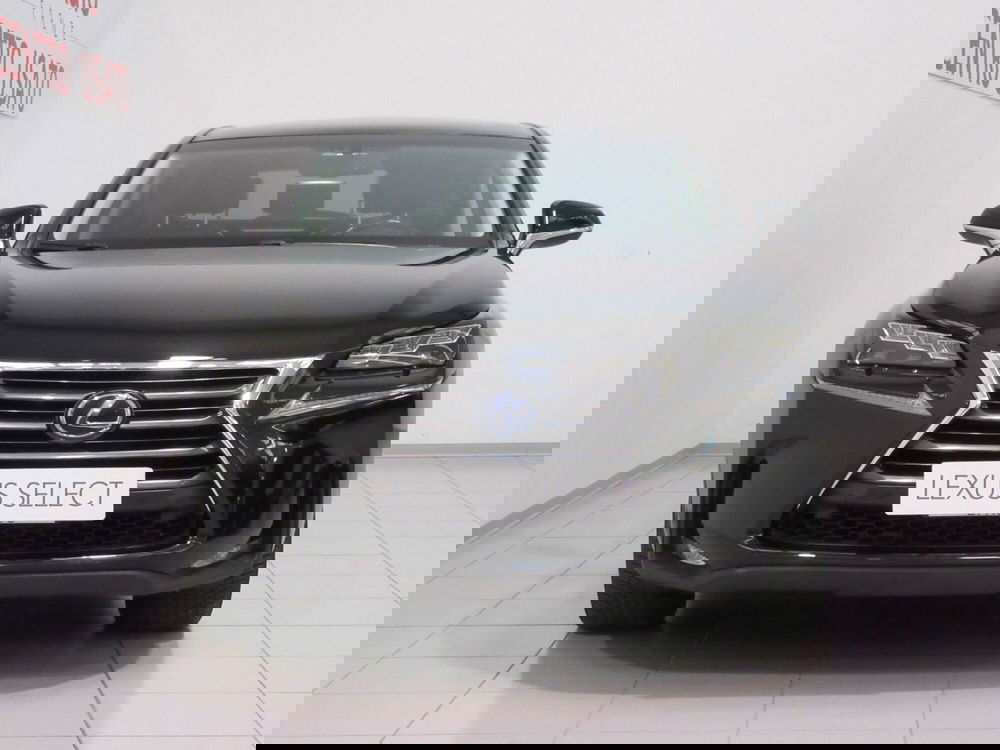 Lexus NX usata a Firenze (5)