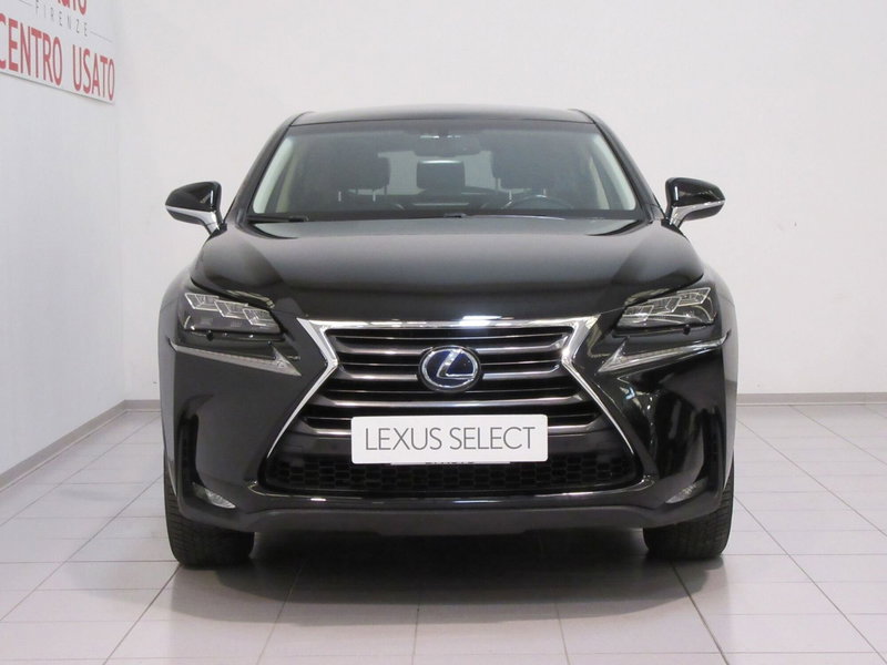 Lexus NX usata a Firenze (5)