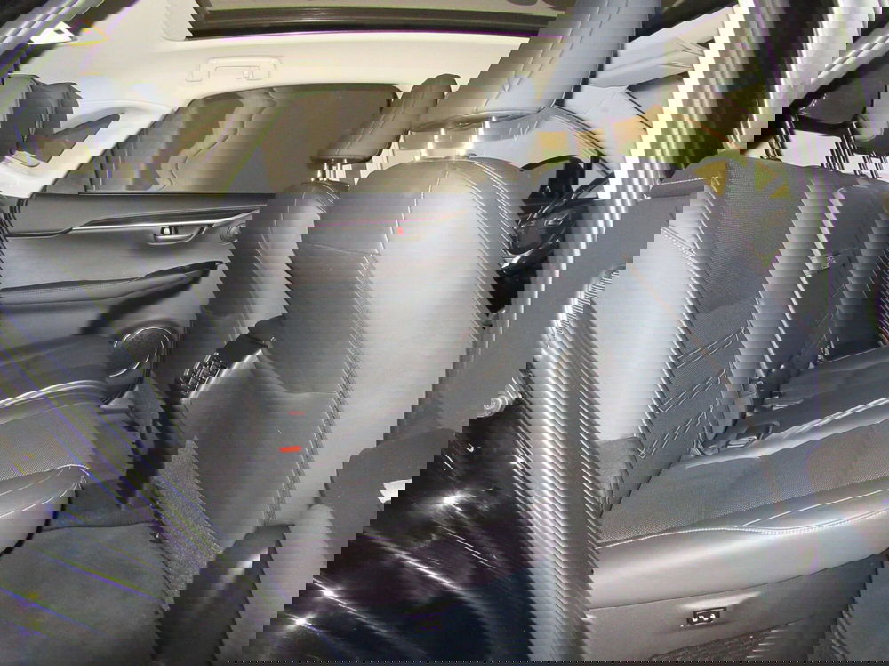 Lexus NX usata a Firenze (7)