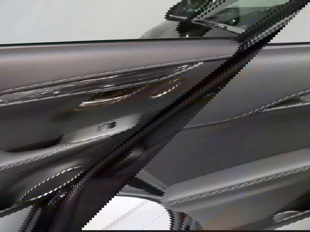 Lexus NX usata a Firenze (9)