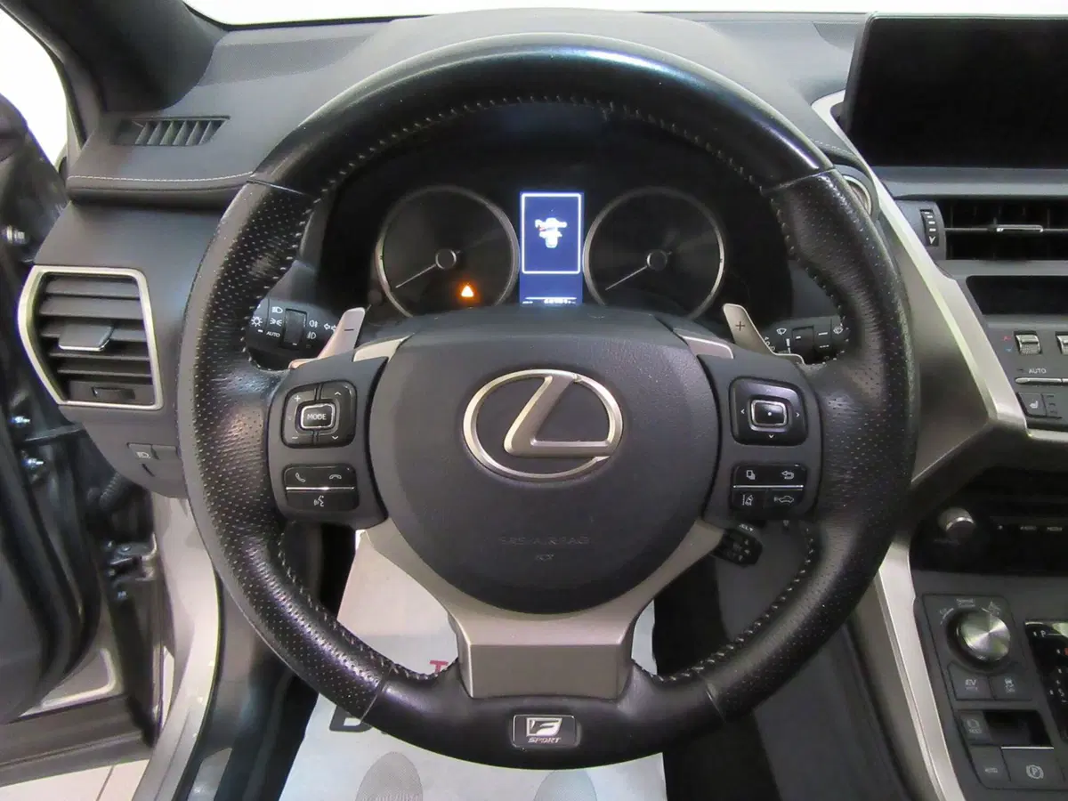 Lexus NX usata a Firenze (11)