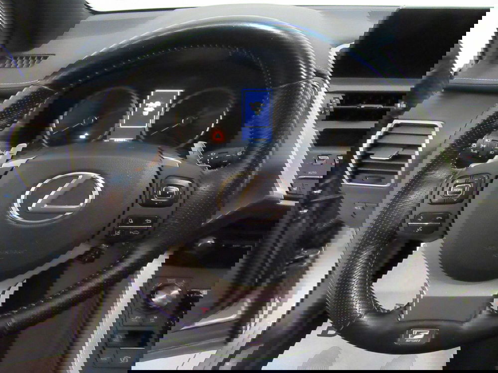 Lexus NX usata a Firenze (11)