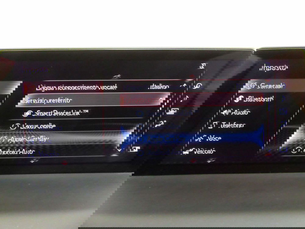 Lexus NX usata a Firenze (14)