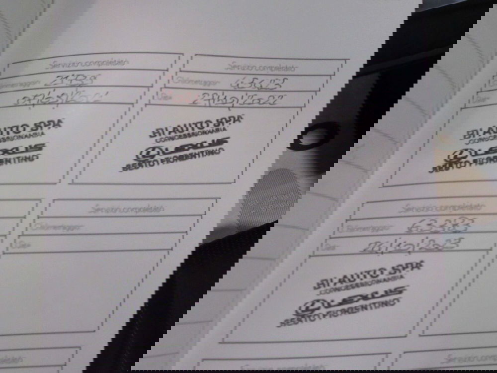 Lexus NX usata a Firenze (16)