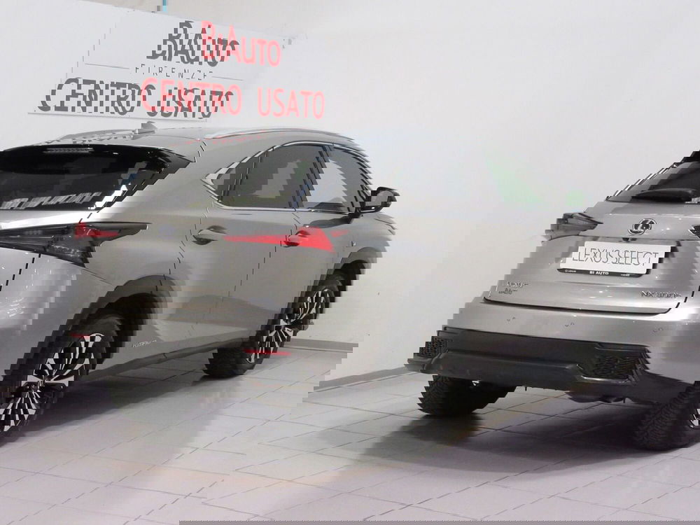 Lexus NX usata a Firenze (19)