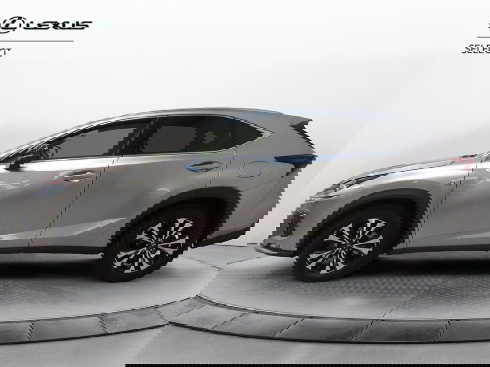 Lexus NX usata a Firenze (3)