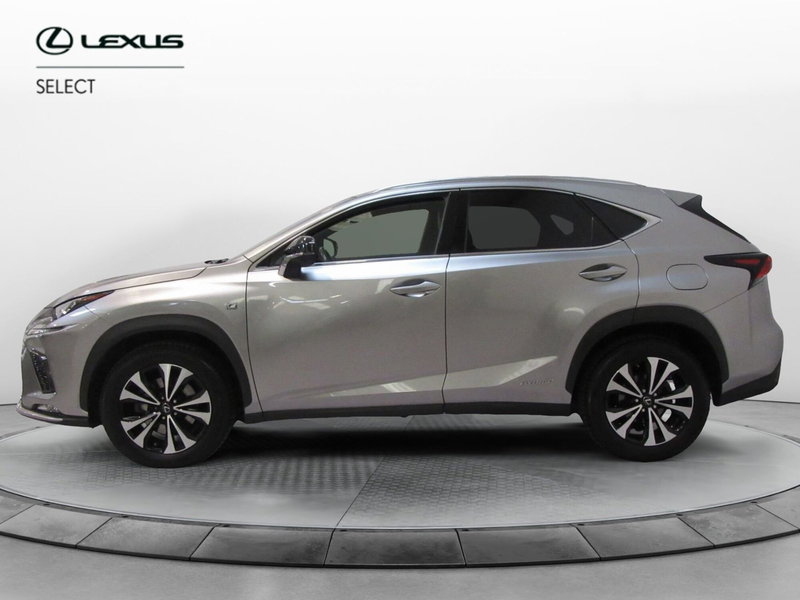 Lexus NX usata a Firenze (3)