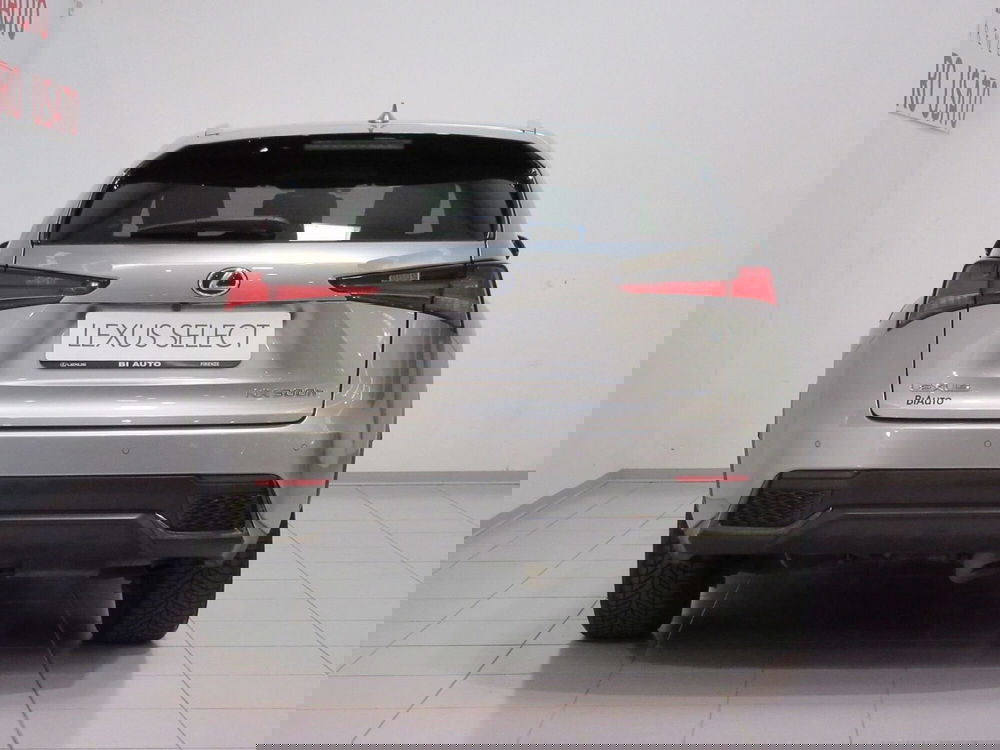 Lexus NX usata a Firenze (4)