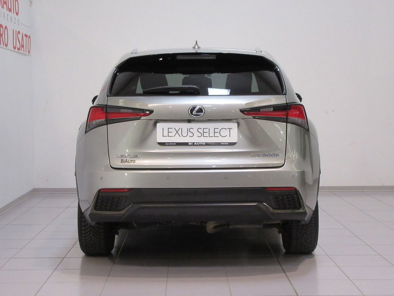 Lexus NX usata a Firenze (4)