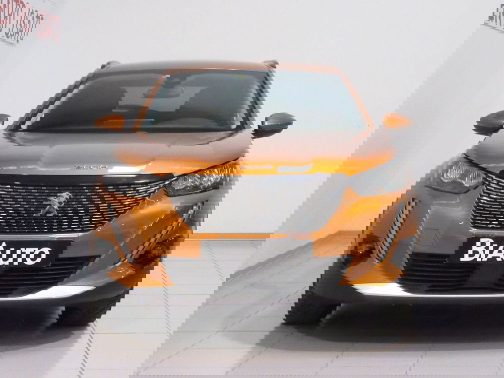 Peugeot 2008 usata a Firenze (4)