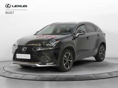 Lexus NX Hybrid 4WD F-Sport del 2018 usata a Sesto Fiorentino