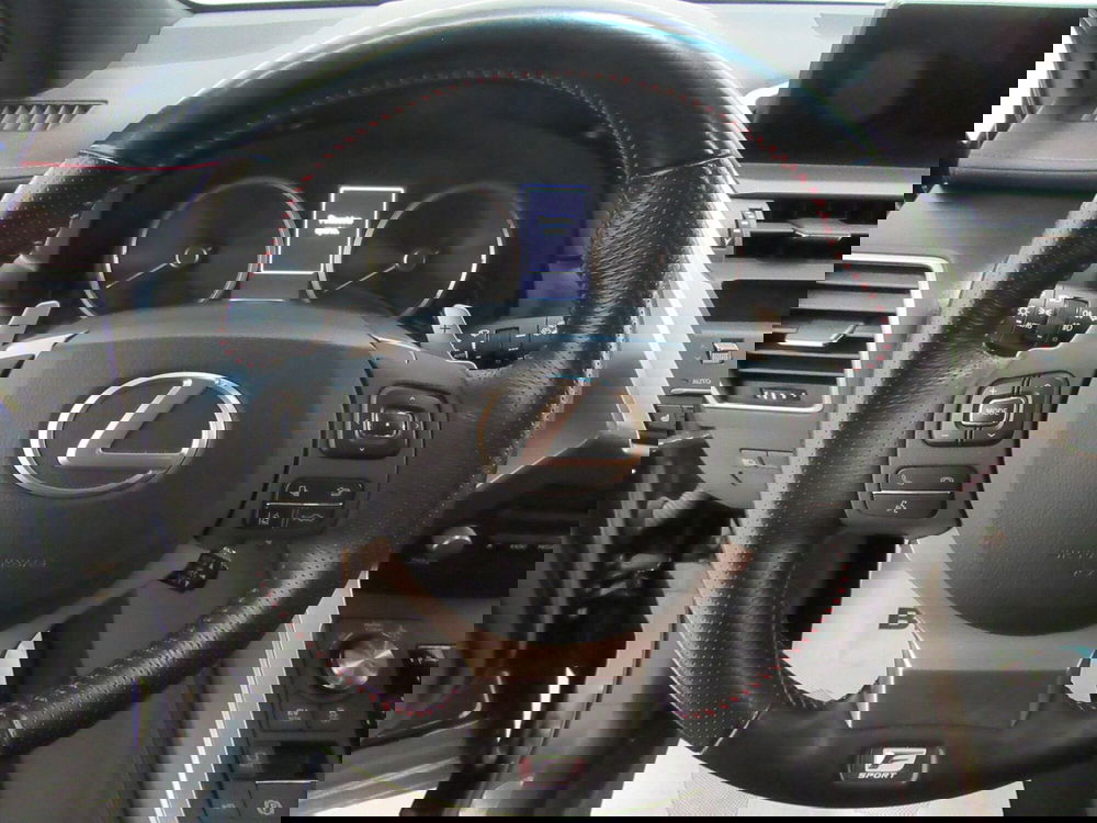 Lexus NX usata a Firenze (11)