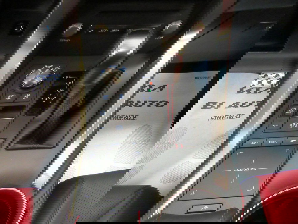 Lexus NX usata a Firenze (19)