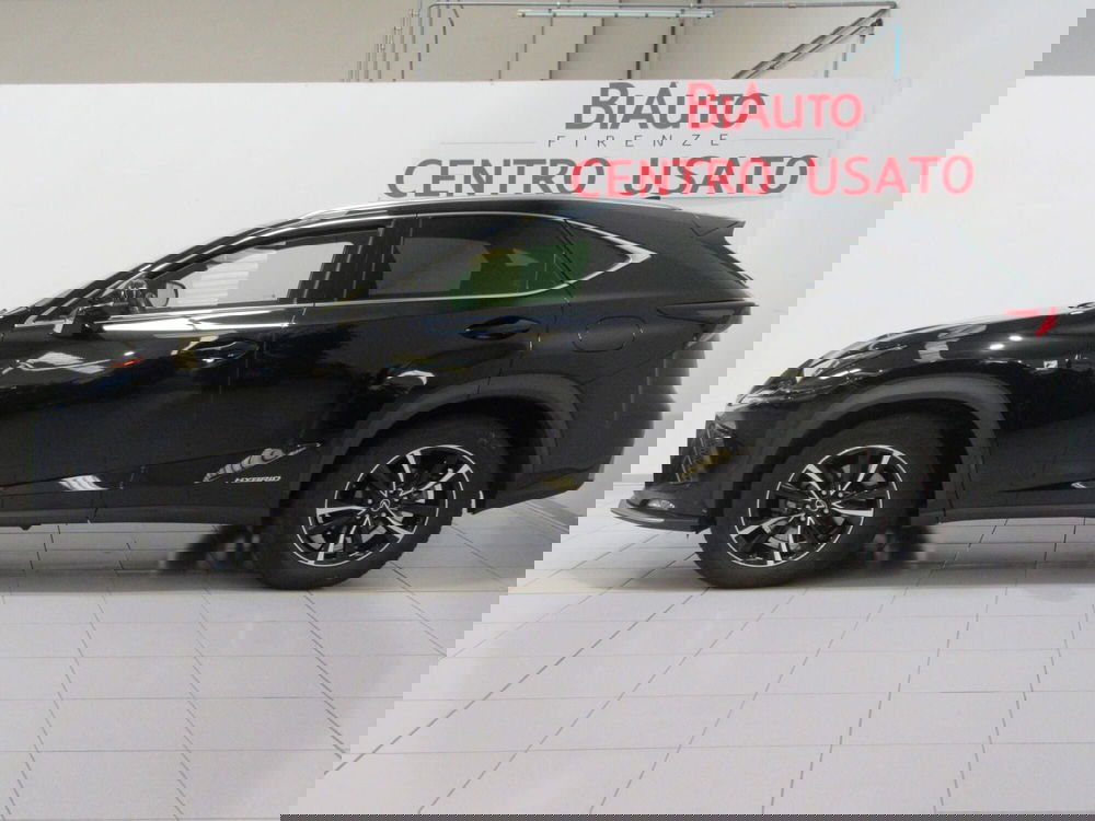 Lexus NX usata a Firenze (3)