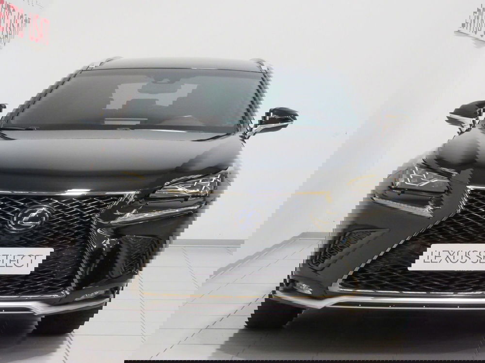 Lexus NX usata a Firenze (4)