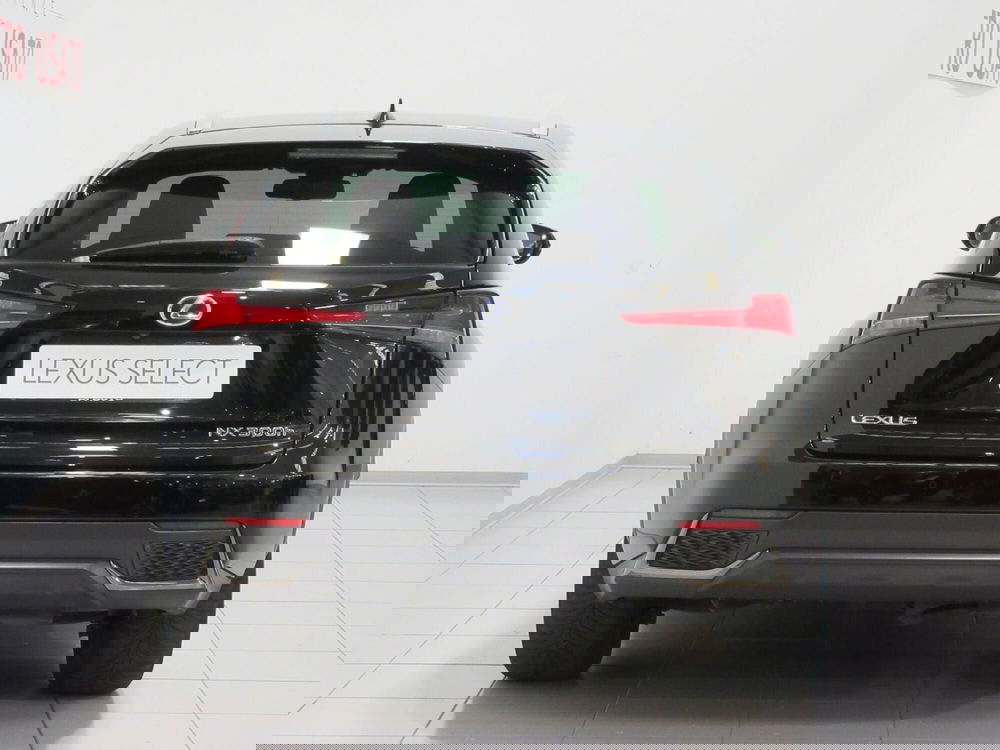 Lexus NX usata a Firenze (5)