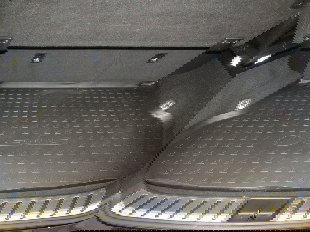 Lexus NX usata a Firenze (9)