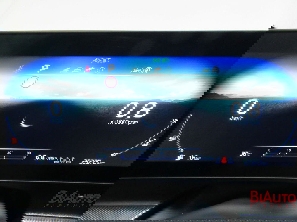 Kia Sportage usata a Firenze (11)