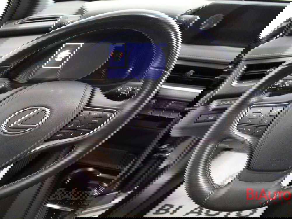 Lexus UX usata a Firenze (11)